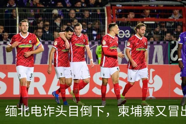 缅北电诈头目倒下，柬埔寨又冒出园区老板，连警察工资都是他发？