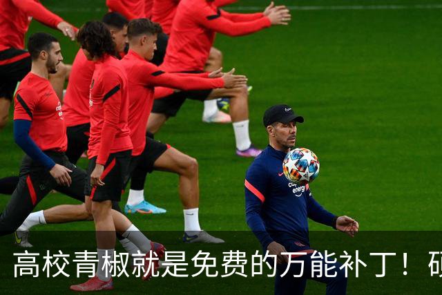高校青椒就是免费的万能补丁！硕士点申报、师范认证、科研秘书......一样都没有落下，结果等到奖励的时候，什么都没有！！