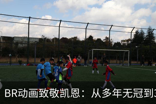 BR动画致敬凯恩：从多年无冠到33岁加冕金球先生👏
